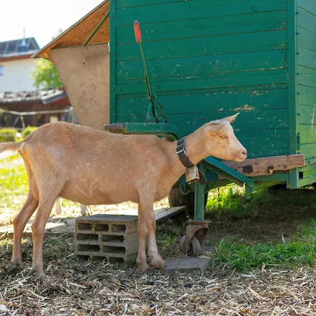 Bauernhof Seppen Prázdninový dům *